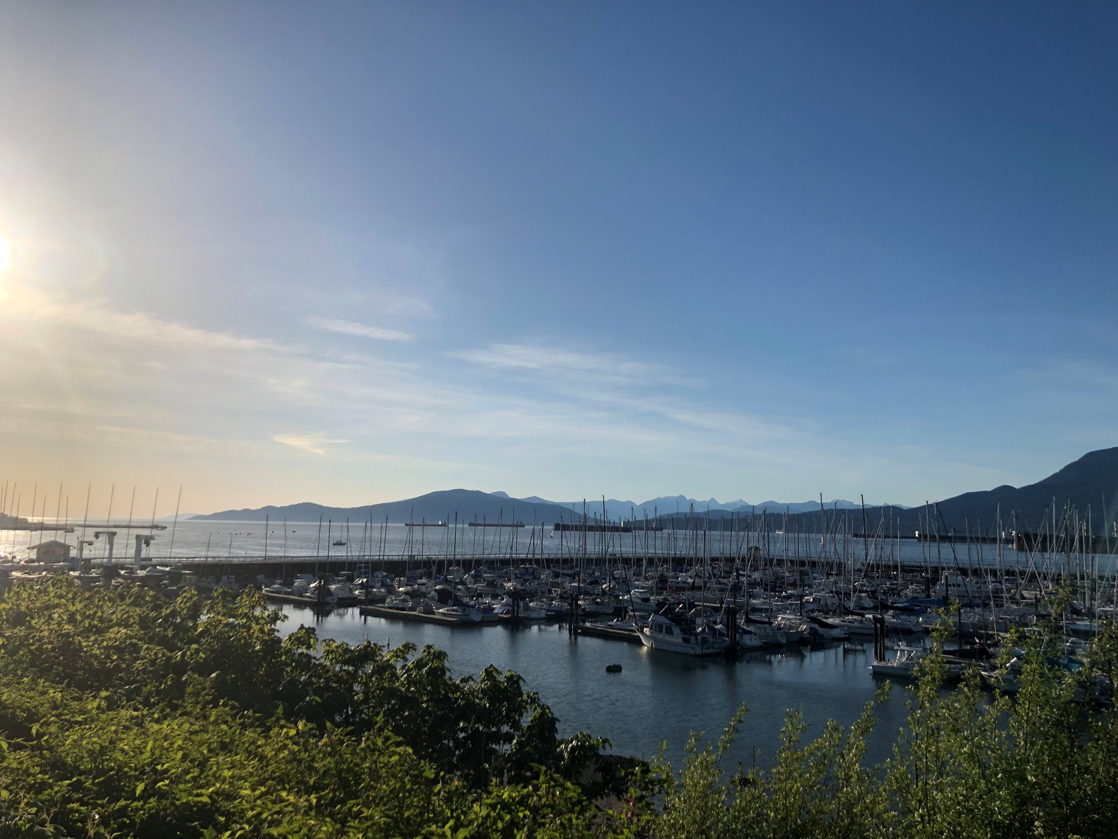 Oral Surgery Vancouver BC, Oral Surgeon